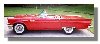 thumbnail of t-bird